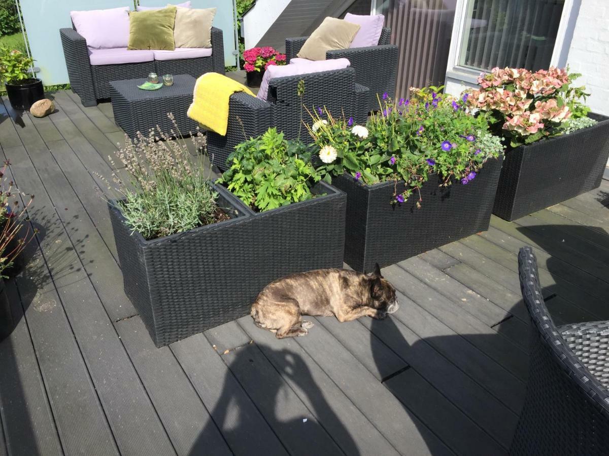 Brondums B & B Hjørring Kültér fotó